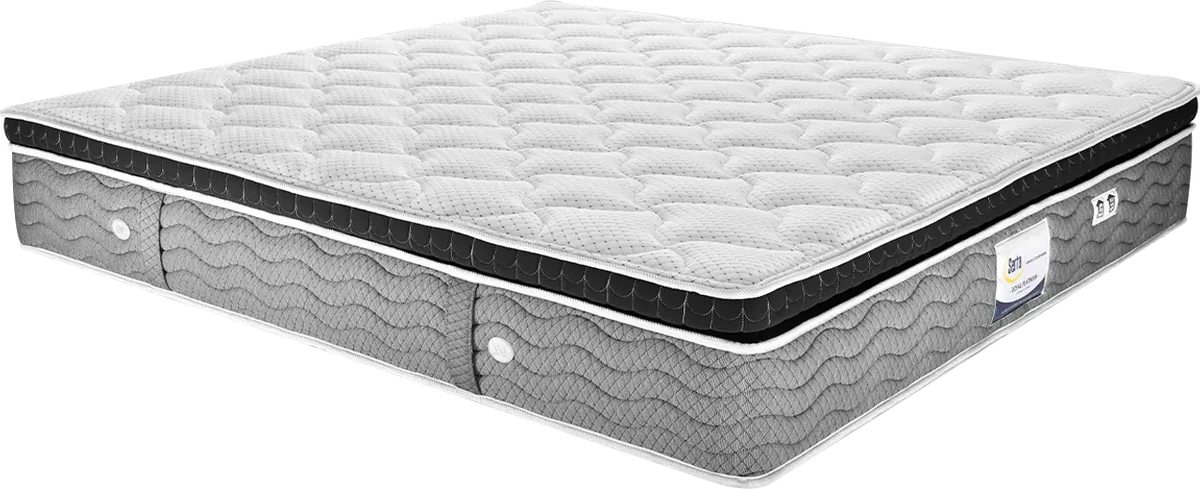 Serta Royal Platinum mattress.
