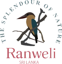 Ranweli