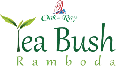 Tea Bush Ramboda