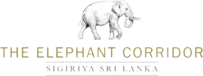 The Elephant Corridor